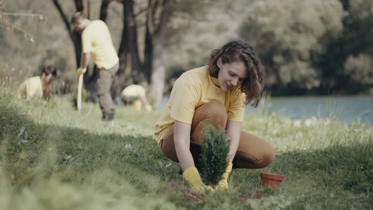 Lawn Pest Prevention in Guerneville, CA